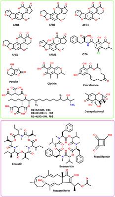 May phytophenolics alleviate aflatoxins-induced health challenges? A holistic insight on current landscape and future prospects